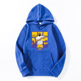 LeBron James - Gray Hoodie